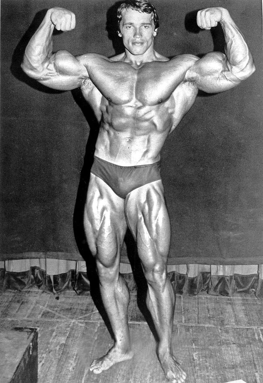 Arnold Alois Schwarzenegger